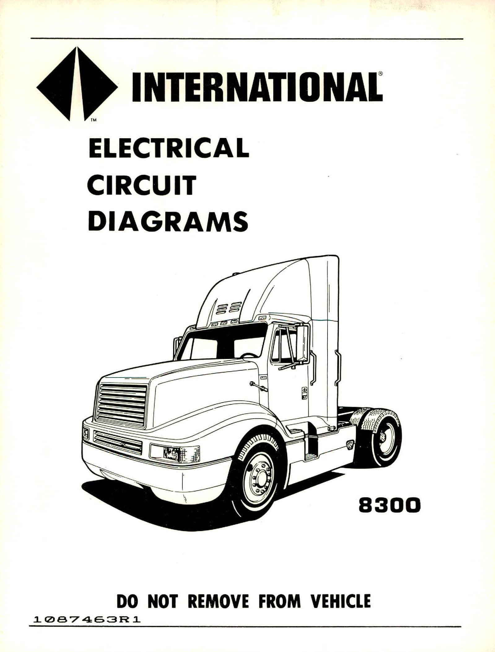 BB-1087463R1 Binder Books IH MANUALS & DECALS